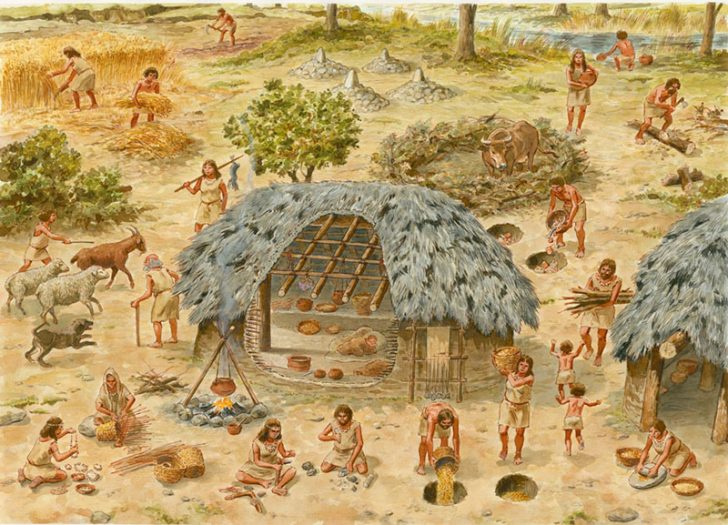 What is the difference between the Paleolithic and Neolithic periods?