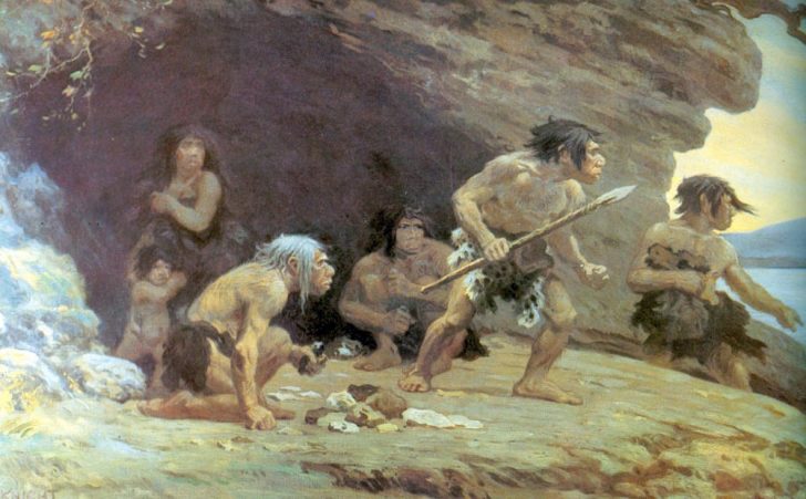 What is the difference between the Paleolithic and Neolithic periods?