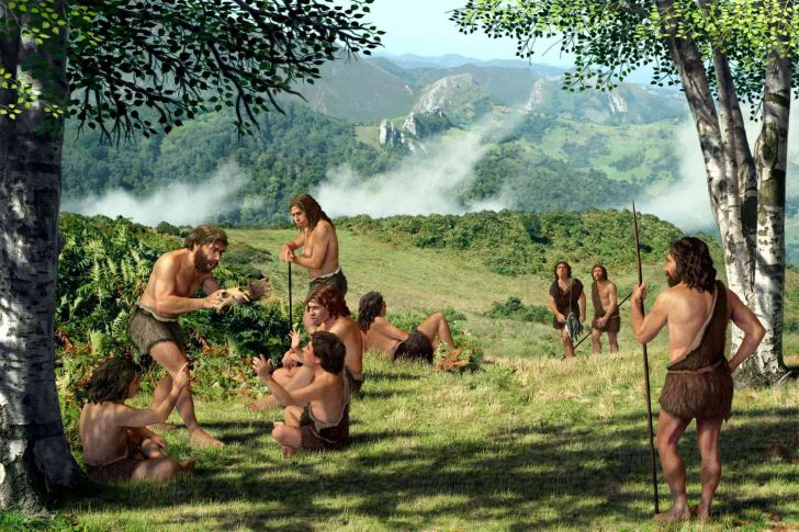 What is the difference between the Paleolithic and Neolithic periods?