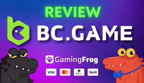 Exploring the Excitement of BC Fun Mirror 1